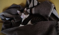 Featured image of post Под конец года