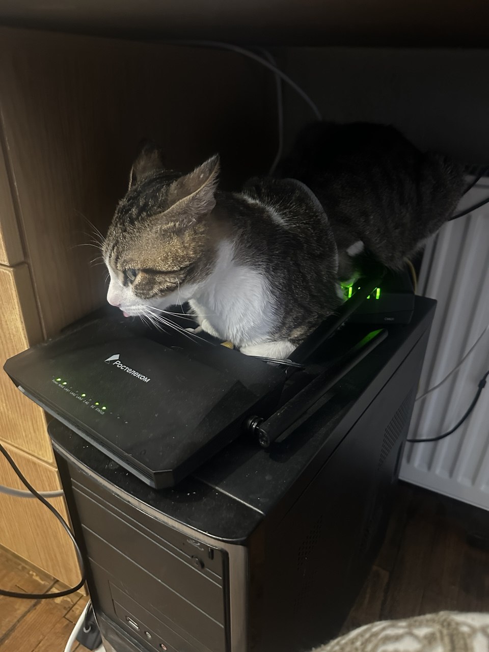 Featured image of post Главный роутер