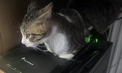 Featured image of post Главный роутер