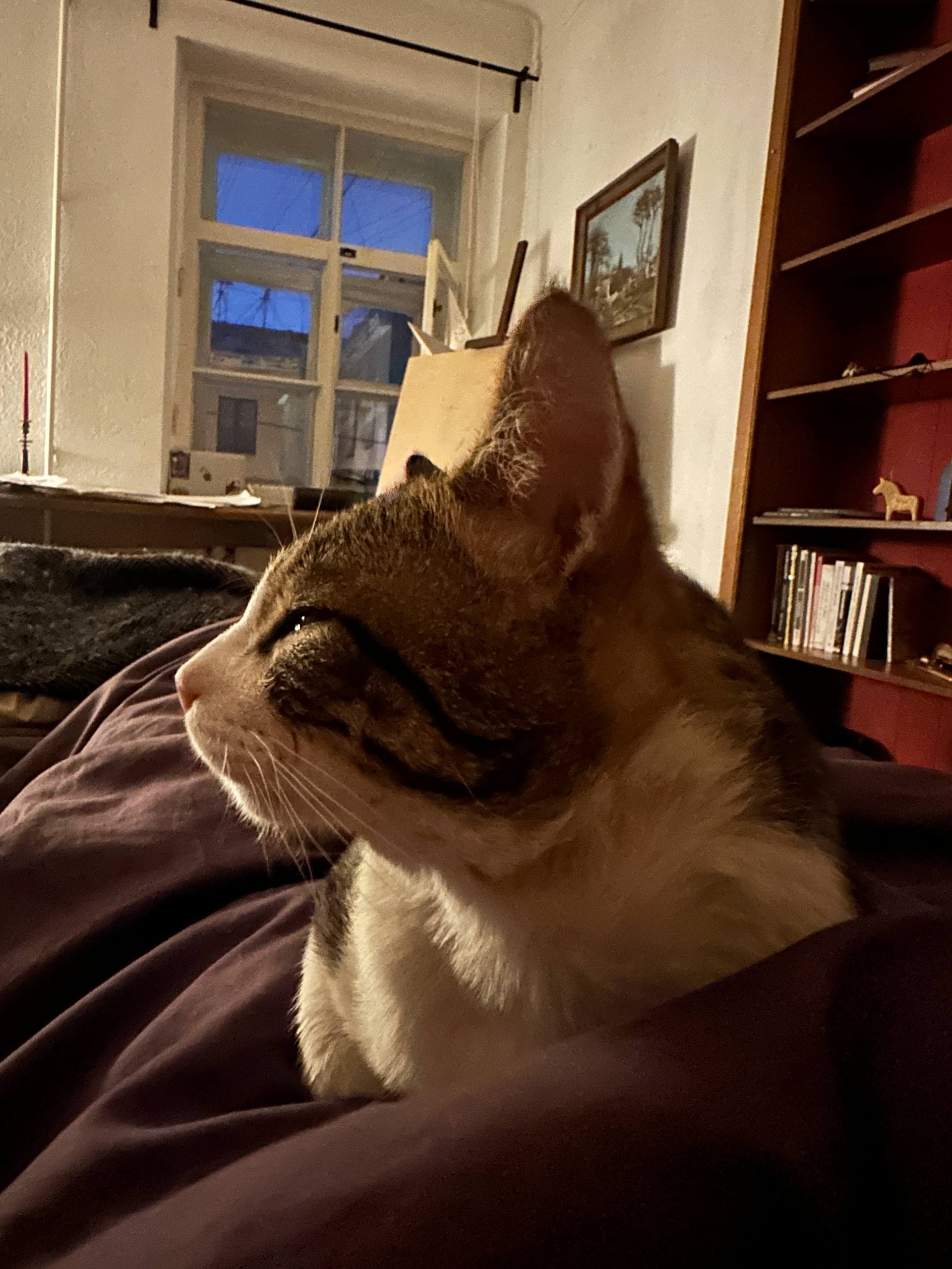 Featured image of post На посту