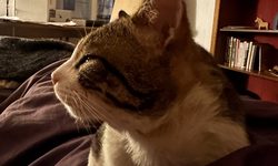 Featured image of post На посту