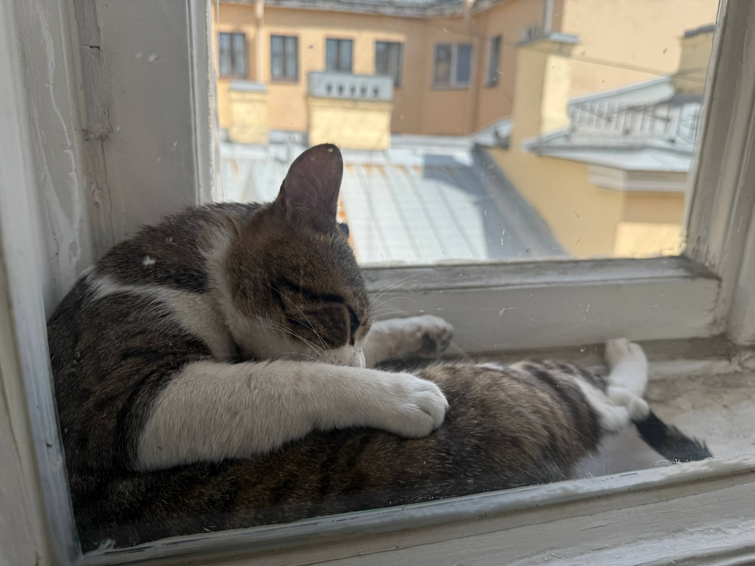Featured image of post Подоконник