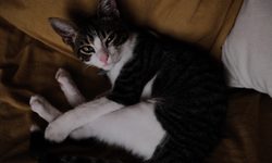 Featured image of post Среда